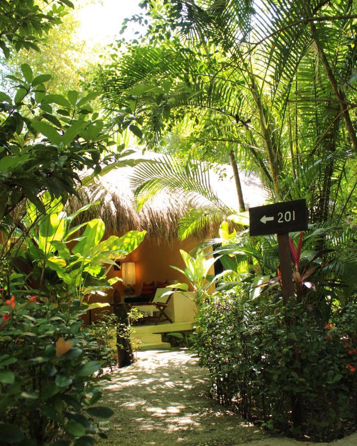 Piedra De Agua Palenque Hotel Kültér fotó