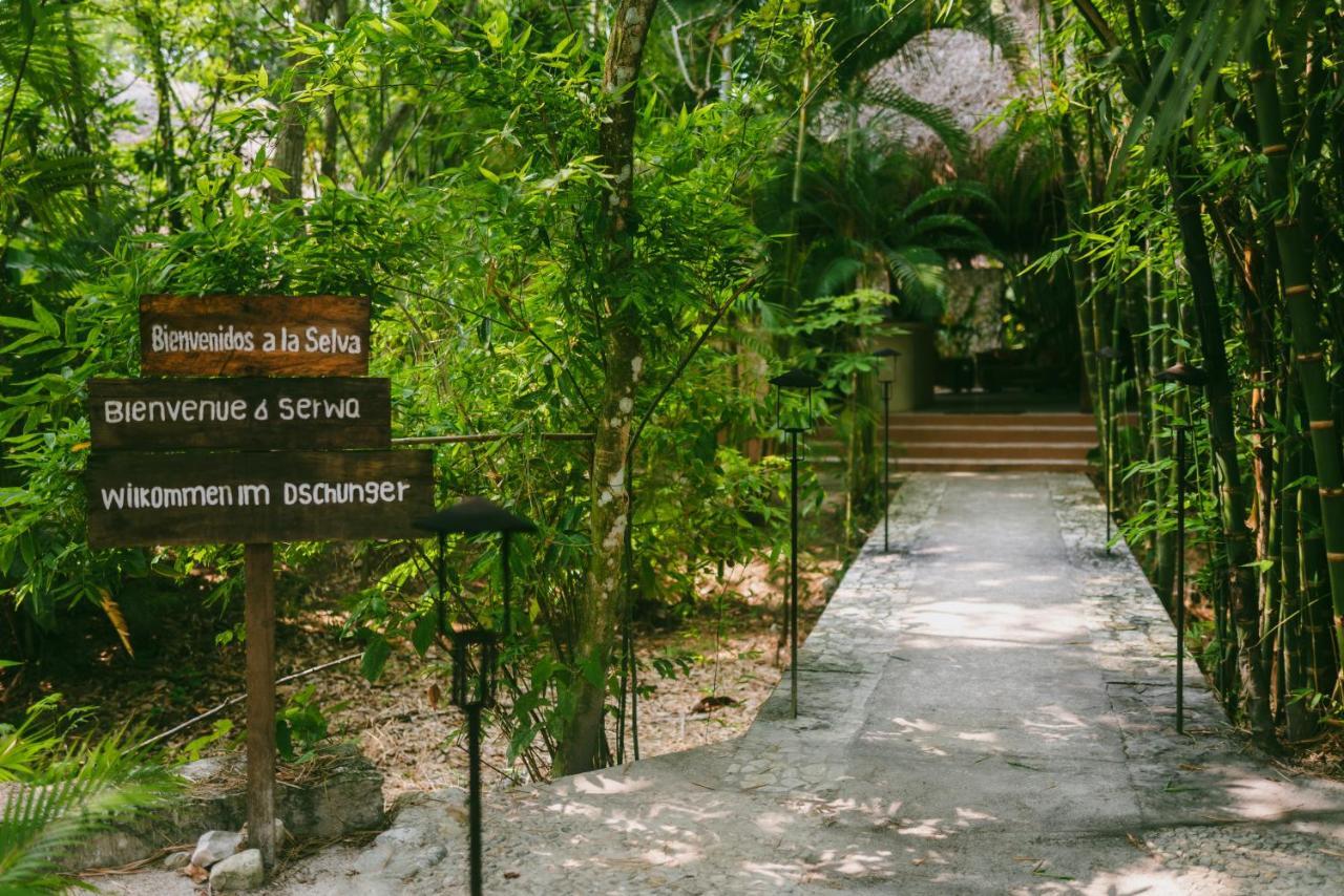 Piedra De Agua Palenque Hotel Kültér fotó
